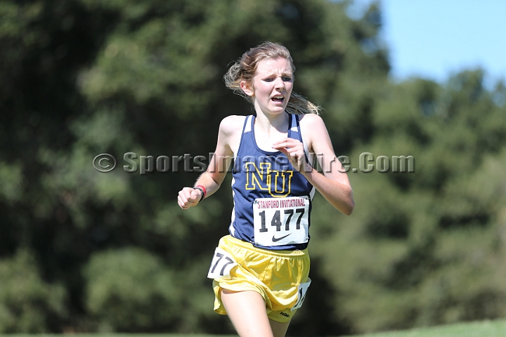 2015SIxcHSD1-217.JPG - 2015 Stanford Cross Country Invitational, September 26, Stanford Golf Course, Stanford, California.